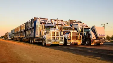 Routiers de l'Outback Traversée dangereuse