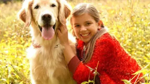 Roxy Hunter et le secret du shaman