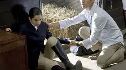 Royal Pains S01E09 A cheval sur les principes en streaming