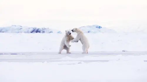 Royaumes de glace S02E06 Un monde en bouleversement