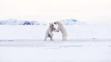 Royaumes de glace S02E06 Un monde en bouleversement