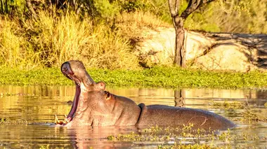 Les seigneurs des rivières