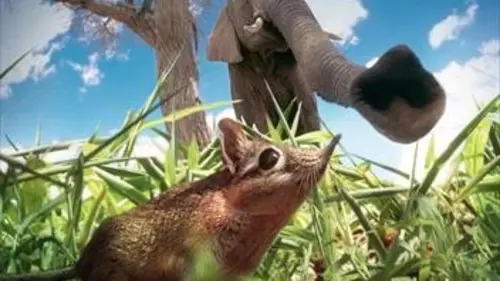 Royaumes secrets S01E01 Plaines et savanes