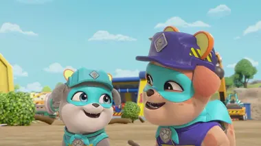 Un nouveau lit pour Charlie / Le parcours d'agilité de Tourbillon