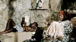 Visuel de Rue Cases-Nègres