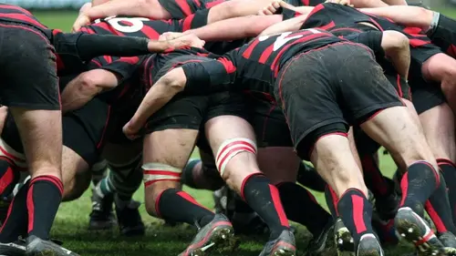 Rugby : Bledisloe Cup