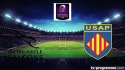 Newcastle Red Bulls / Perpignan  Rugby Challenge Cup 2025-2026