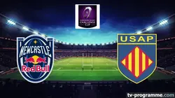 Newcastle Red Bulls / Perpignan  Rugby Challenge Cup 2025-2026