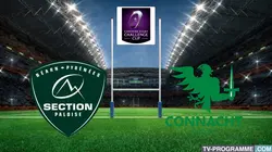 Visuel de Pau / Connacht
