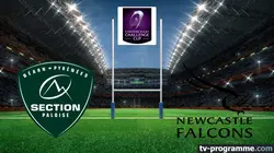 Visuel de Pau / Newcastle Falcons