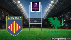 Perpignan / Connacht  Rugby Challenge Cup 2024-2025