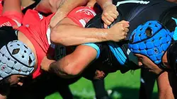 Visuel de Tarbes / Provence Rugby