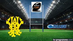 Sur Canal+ Sport à 21h00 : Wellington / Auckland