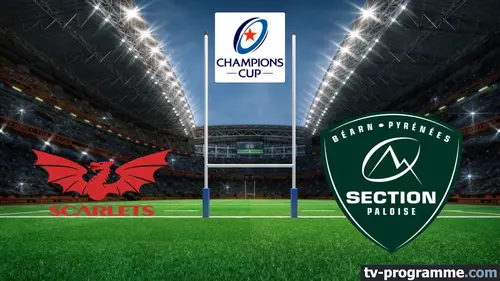 Scarlets / Pau Rugby Champions Cup 2025-2026