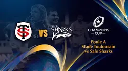 Visuel de Toulouse / Sale Sharks