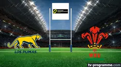 Sur TF1 à 21h00 : Argentine / Pays de Galles