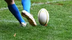 Visuel de Harlequins / London Wasps