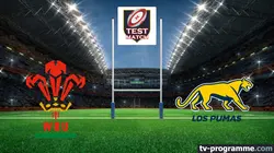 Pays de Galles / Argentine  Rugby Test-match 2025