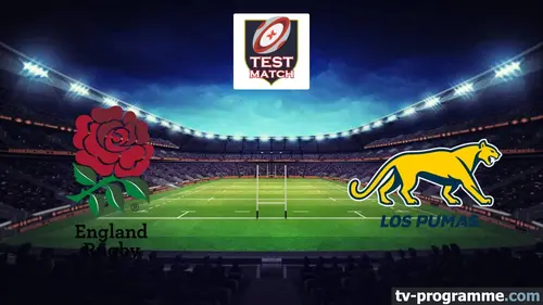 Angleterre / Argentine Rugby Test-match 2025