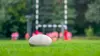Rugby : Tournoi des VI Nations des moins de 20 ans