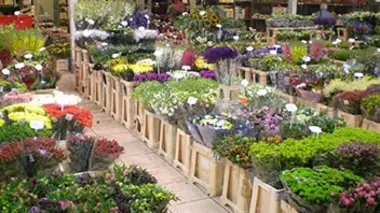 Rungis : dans les coulisses du plus grand marché du monde