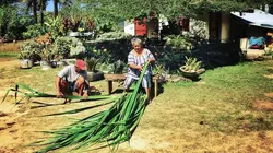 Rurutu, les nouveaux guerriers