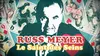 2015 • Russ Meyer, le saint des seins