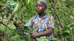 Visuel de Rwanda, une renaissance