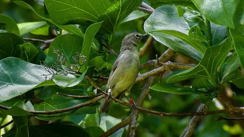 S.O.S. animaux en danger E07 Les enfants du vent