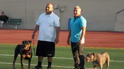 S.O.S. Cesar Chiens à l'attaque
