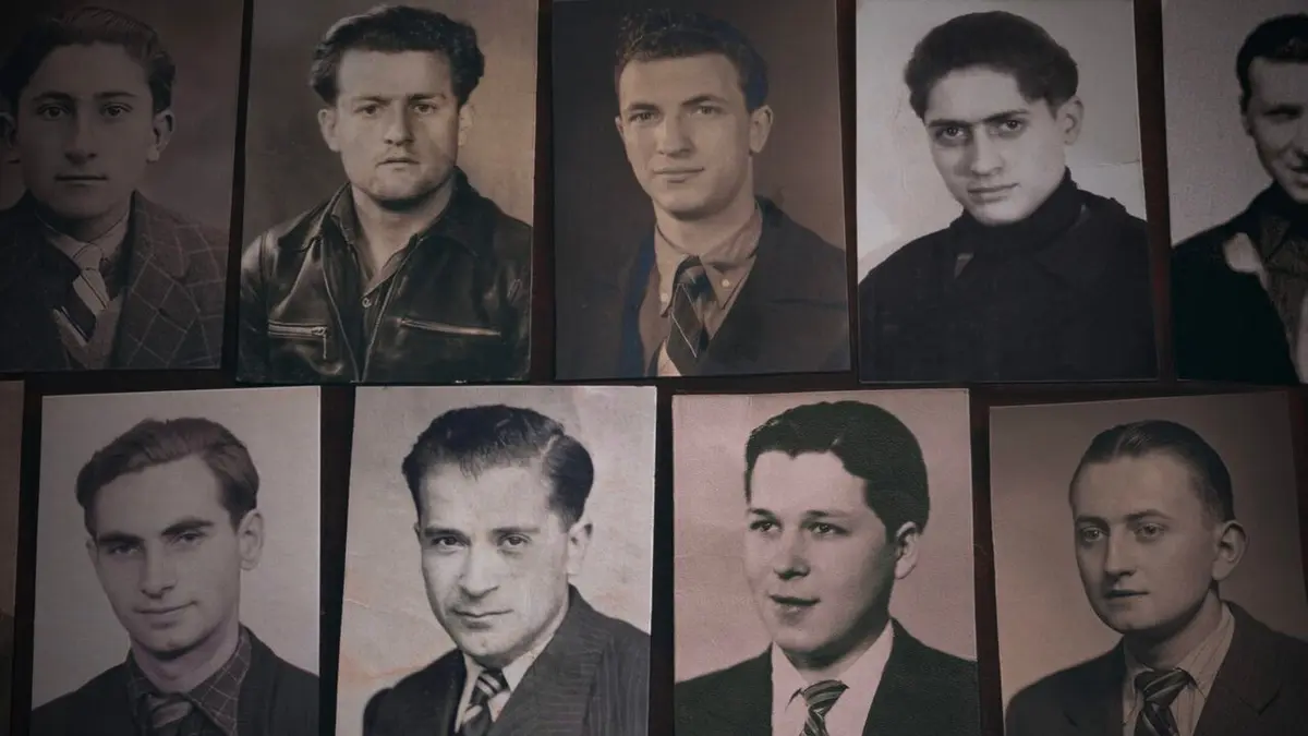 S.T.O. Les oubliés de la victoire