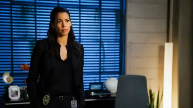 S.W.A.T. S01E13 Par-delà les frontières