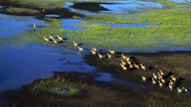 Un fleuve jeune et vigoureux