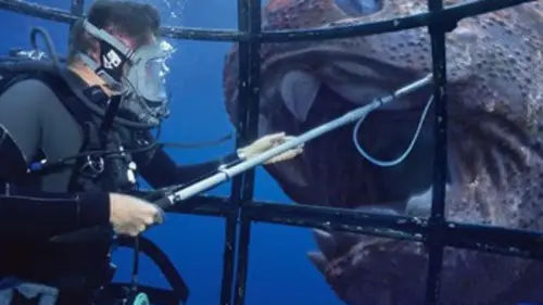 Safari préhistorique E04 Les dents de la mort