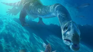 L'aquarium de l'enfer