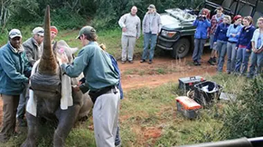 Safari Vet School E09