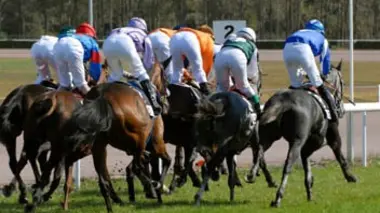 Saga hippique (Horaire sous réserves)