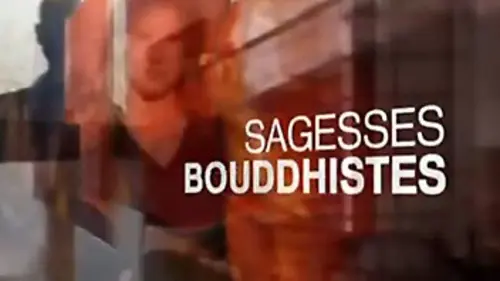 Sagesses bouddhistes Complexité du karma