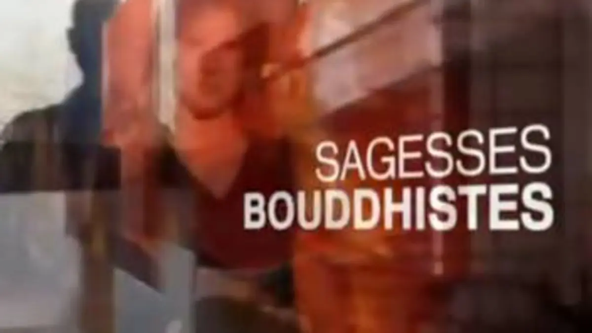 Sagesses bouddhistes Dépasser nos résistances aux changement et faire de l'impermanence une alliée