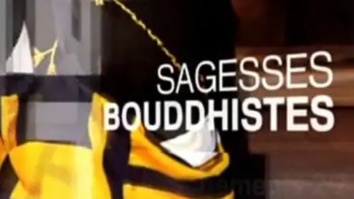 Sagesses bouddhistes Dharma et éthique