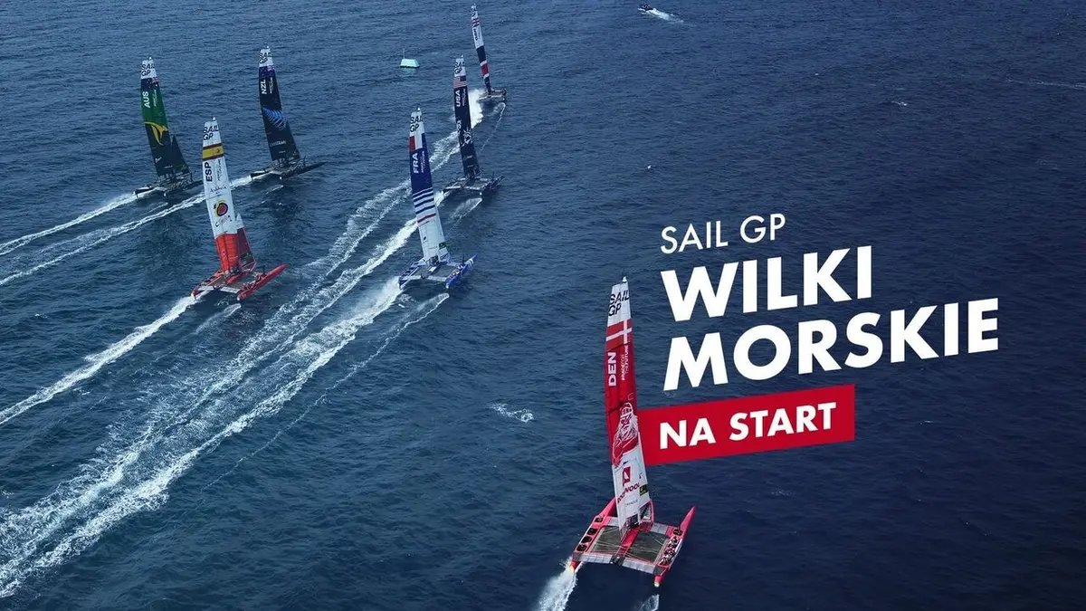 SailGP Highlights