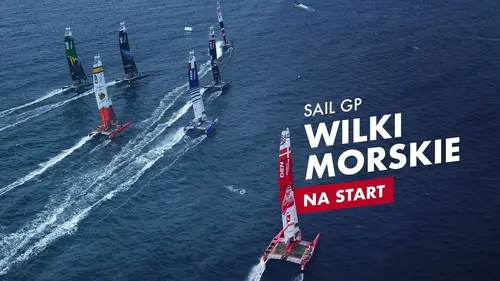 SailGP Highlights