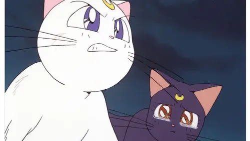 Sailor Moon S02E33 Artémis détective