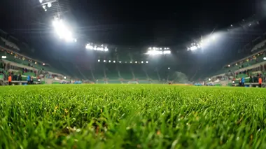 Saint-Etienne - Team des Héros