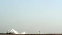 Visuel de Saison sèche