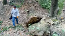 Sale affaire ! Pas d'efforts, pas de gloire!