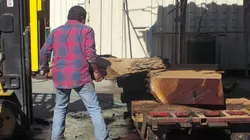 Sale affaire ! Tout ou rien