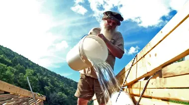 Gros alligators pour petit bateau