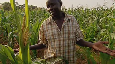 Tanzanie, les damnés de la Terre