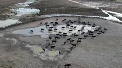 Visuel de Sale temps pour la planète